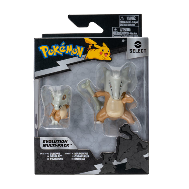 Pokémon Evolution Eevee Multipack
